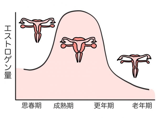 更年期の原因①ホルモンバランスの変化